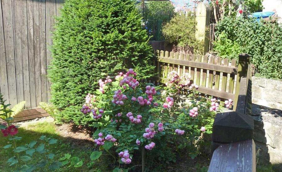 Grosse Prinzessin - Appartement Mit Saunanutzung Burgbernheim Extérieur photo